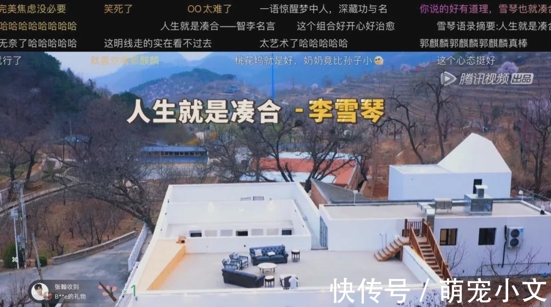 下班累瘫就吃它,一蒸就搞定!低脂健康比肉还好吃!