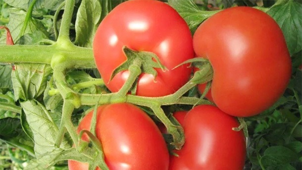 番茄红素|女性想减肥,又不想“挨饿”,多吃5种食物,可饱腹还能越吃越瘦