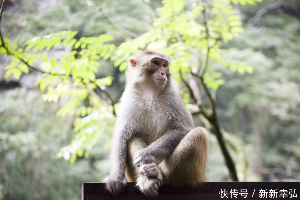 中国被游客误解最深的景区，以为遍地是坑，其实让人感觉很温暖