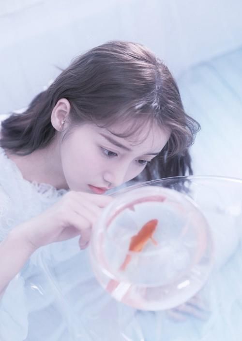 受伤|姜贞羽受伤停止节目录制,酒店中抱着刘些宁奔溃大哭我跳不起来了