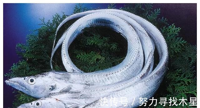 味道|鱼肉虽好，但这3种鱼尽量别吃，爱吃鱼的朋友要注意，别大意！