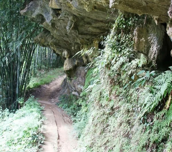 阳禺国——一个广东瑶族建立起来的国度