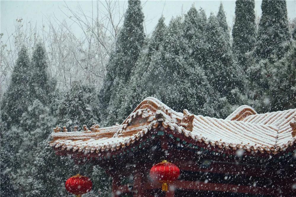 景区|惊艳！龙口南山景区迎初雪，这画面太美......