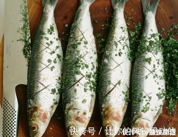 变态反应|经常吃鱼好处多多,可惜这4种人不能随便吃鱼!你是其中之一吗?