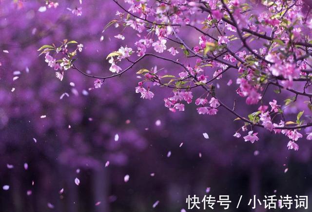 浣溪沙|一曲新词酒一杯,晏殊在暮春时写的这首婉约词,读来很唯美很伤感