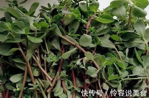 糖尿病患者|4物是糖尿病的“克星”,每天坚持吃,或能帮你稳定血糖不上升