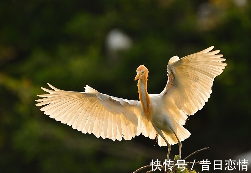 彩云追月&绕头诗35首：奇思妙句，感悟世间百态，若有同感，不妨也来一句