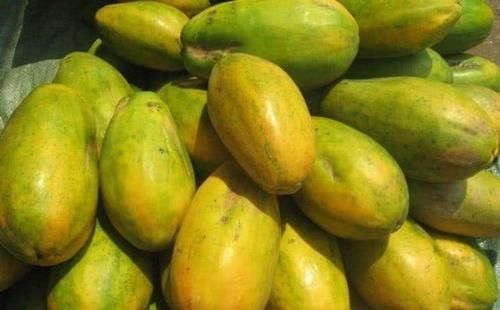 贡菜|会吃的人更健康，3种食物离不开，排毒养颜，有益健康！