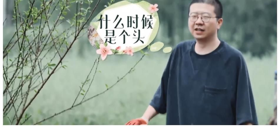 王导|李诞陈赫干活了，为何还被骂？《向往的生活》总导演的回应来了