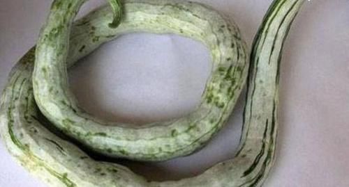 多汁|想长寿要会吃，3种食物不错过，排毒养颜，好吃又不贵！