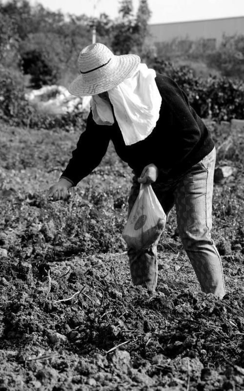 五六十年代整天吃咸菜,为什么高血压的人还少?医生说出答案