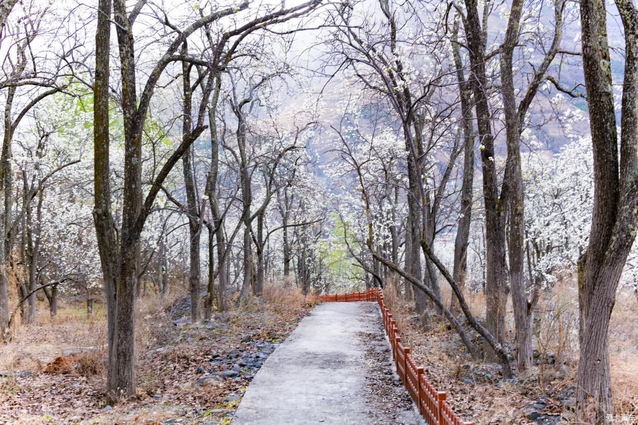 记录|早春的川西美景，从四姑娘山到贡嘎雪山，记录最迷人的景色与地貌