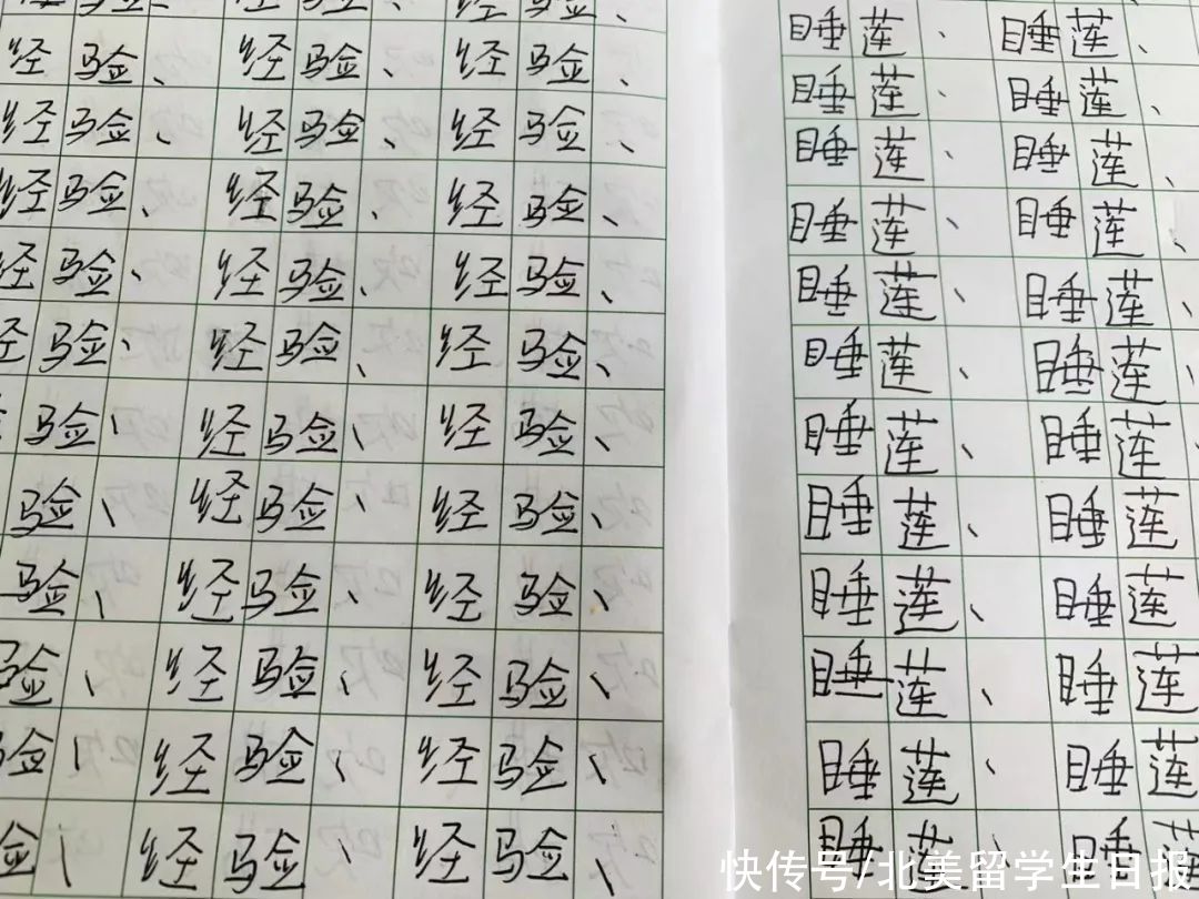 一个小学生家长的假性“死亡”