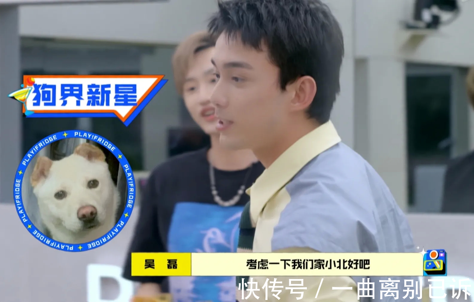 王灿|《拜托了冰箱》狗界新星小北综艺首秀，吴磊化身经纪人狂拉业务
