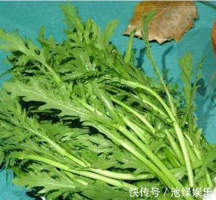 蚕豆|常吃以下五种蔬菜,能降血脂、降血压、增强肌体免疫力