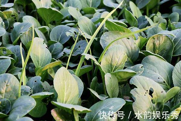 范志毅|國足10：1大勝被媒體和球迷痛罵，被對手攻入一球被稱恥辱