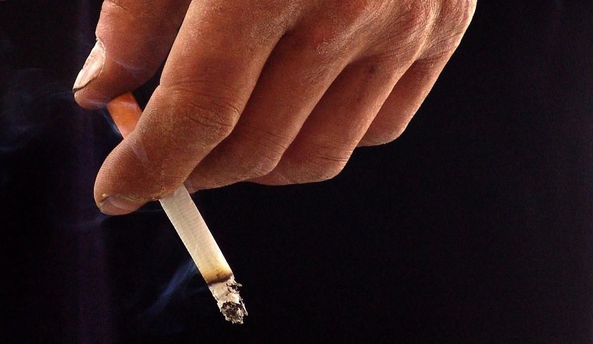 血管|高血脂的“祸根”找到了，若想稳定血脂，吃2物，戒1习，保护血管