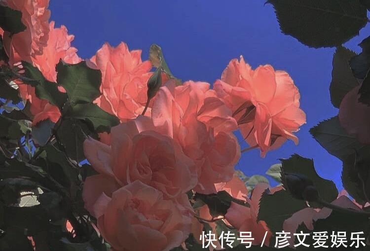 星座师|就算被人轻视,也不会向命运妥协的星座,在低谷中也能保持自我