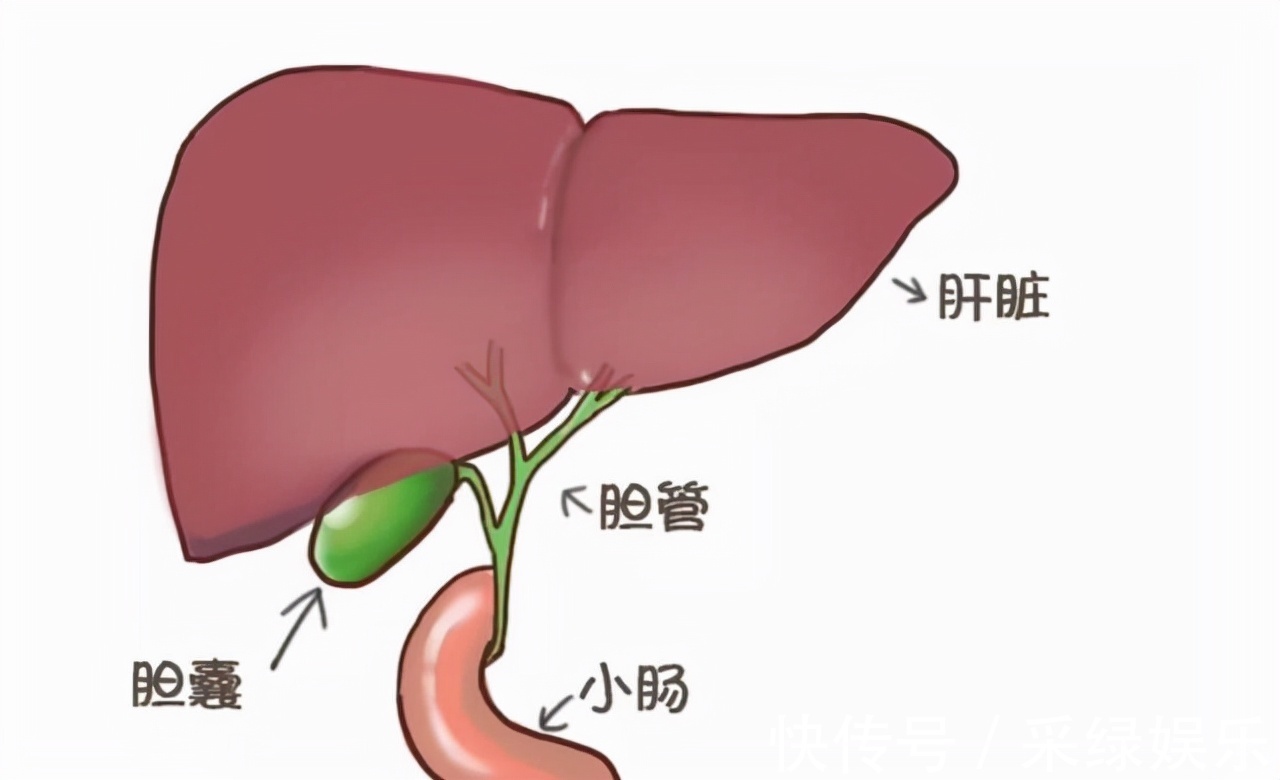 营养物质|生花生和熟花生,哪个营养更高注意这5类人最好少吃,要听劝