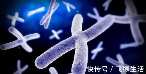 身高|大女儿身高155m，小女儿175m，宝爸偷做2次亲子鉴定，闹出大笑话