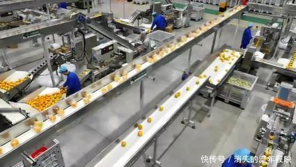 山泉信丰工|拼多多直播溯源农夫山泉17.5°橙,“百亿补贴”助推橙中之王