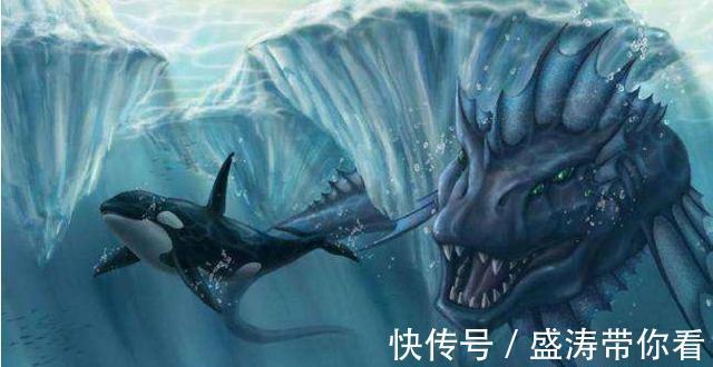 神兽|斗罗大陆:唐三生命中离不开的几只魂兽,一个是老婆,一个是老妈