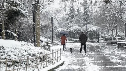 洗尽铅华，在雪中的杭州市区，也有一些这样平凡的角落