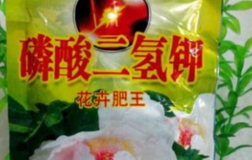 养花用氮、磷、钾肥,该用在什么地方?单独有什么效果?