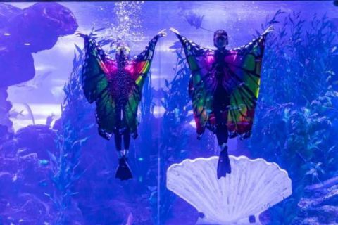 老年|春节期间待客近11万人次 青岛奥帆中心景区迎来开门红