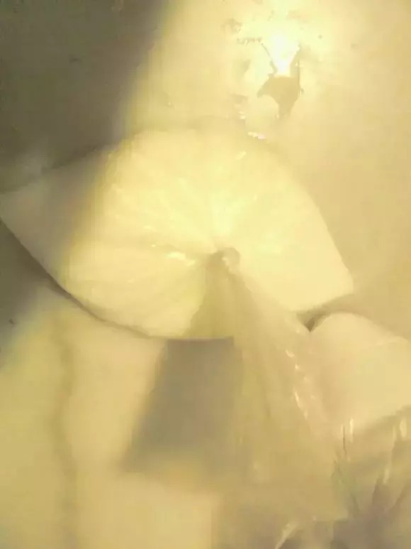 雾化|自制鲤鱼饵料简单天然,钓大鱼一绝,配方公开!