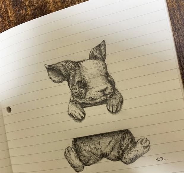 小青蛙|当本子遇到二次元插画师，爬上“栏杆”的小动物们实在太可爱了