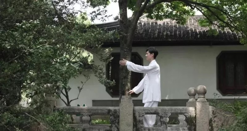 nk细胞|为什么要练习太极拳?