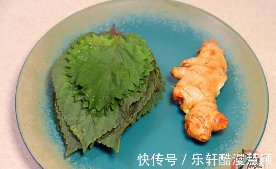 泡水|紫苏叶加生姜泡水喝,老一辈人的养生秘诀,很多人不知道