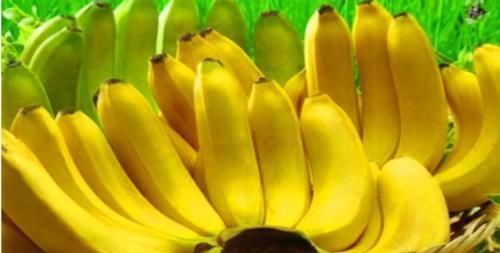 鲍鱼果|长寿老人爱吃3种食物,美容养生、滋润肌肤,早吃早受益!