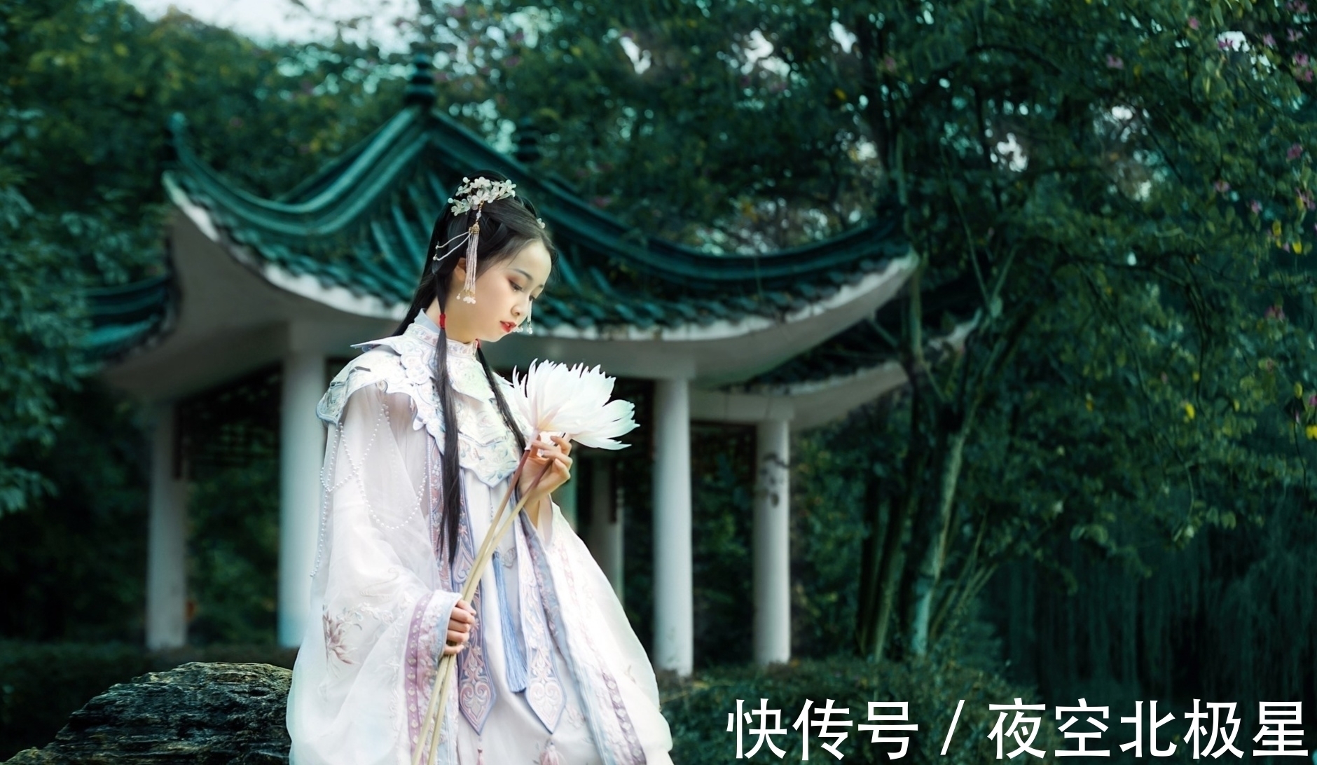 七律&诗·十首丨芸芸世相何堪画?幸有禅心可避尘