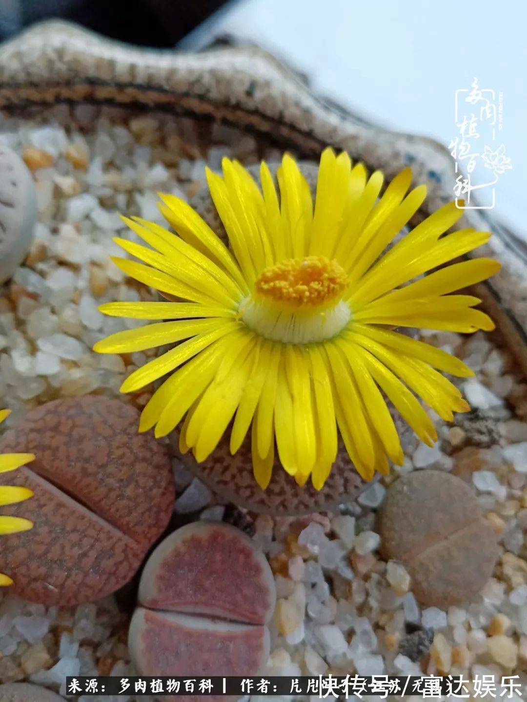 养肉路上，累并快乐着！时光不语，静待花开！
