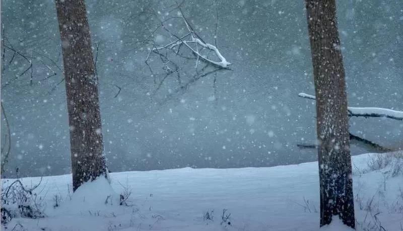 飘进|大雪飘进唐诗里