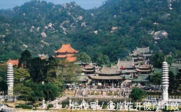 世界上唯一一颗“地球独子”,生长在我国境内,比大熊猫还珍贵