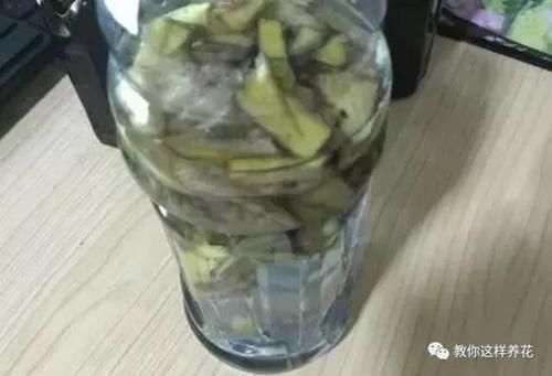 花草养不活,放点香蕉皮,打鸡血一样疯长!