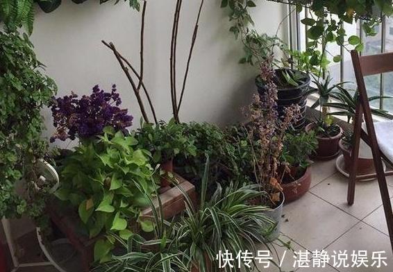 尼格买提|尼格买提晒出自己住的豪宅，家里铺着名贵地毯，装修也太豪华了吧