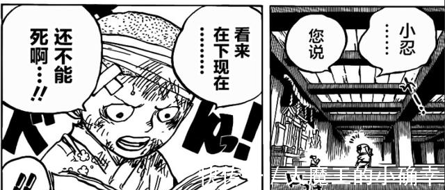 锦卫门|海贼王:桃之助暗示“神秘力量”来袭,将拯救落海的路飞