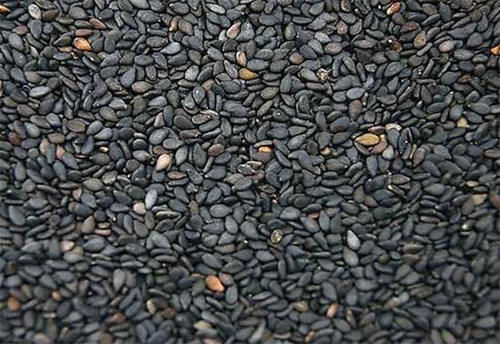 卵磷脂|营养师:推荐5种“健脑食物”,换着吃,老人记性好,孩子更聪明