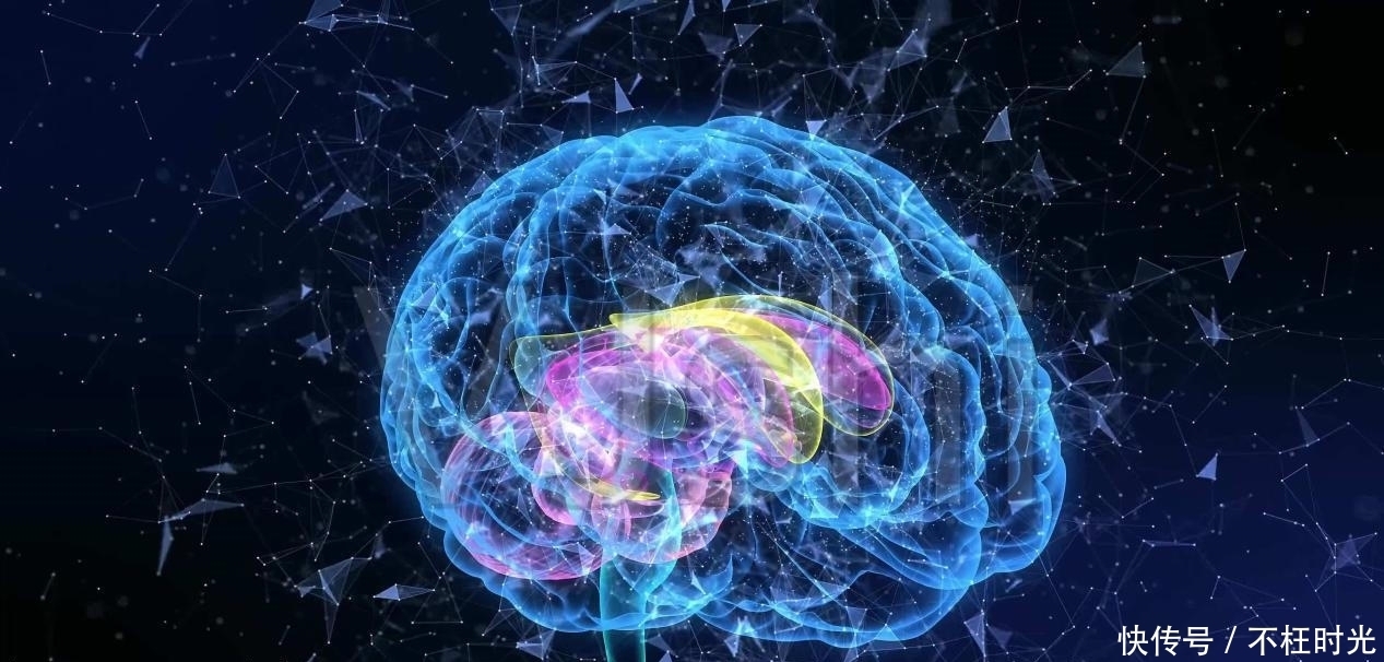 人脑|瑞典老年痴呆测试：图中藏有几只鹿？你能找到几只？我只找到5个