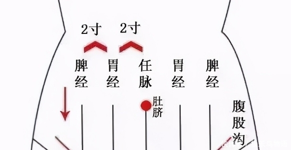 身体这处每天揉15分钟，养元气、消积食、助睡眠