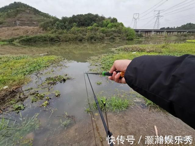 水草|进入深秋，老钓手都喜欢选这三种钓位，容易出大板鲫