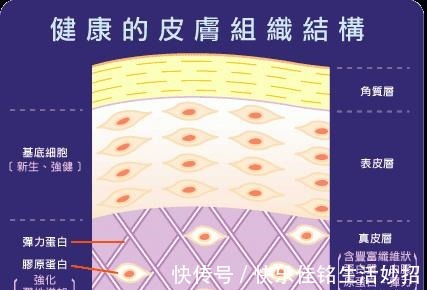 艾珂薇 水、乳、霜、精华的正确护肤顺序,涂错了不但“无效”还“伤肤”!