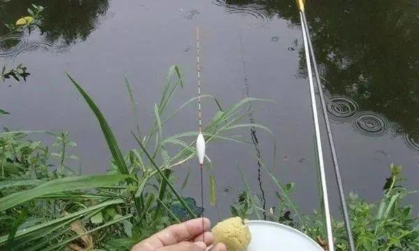 野钓调漂思路详解,了解这些,不愁钓不到鱼!