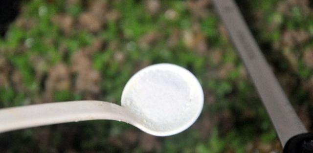 豇豆|父母矮孩子长不高来吃“它”,儿子隔天吃1次,15岁1米8!