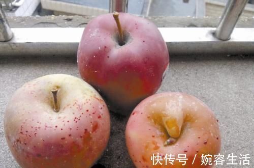 苹果|热水泡红苹果,竟出现苹果“冒血”现象?为什么营养师说大胆吃