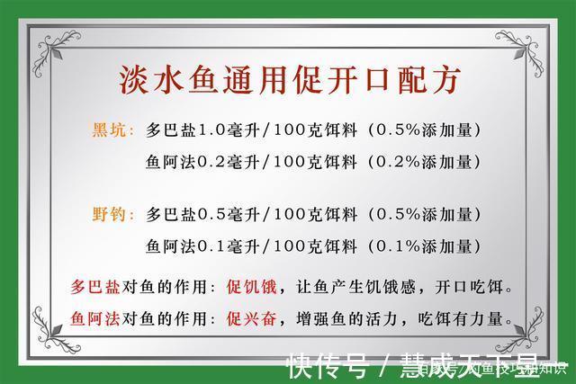 饵料|秋季钓鱼时,鱼口主要受到哪些因素影响秋季钓鱼改善鱼口的方法